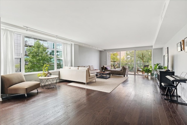 living room featuring dark wood-type flooring and a wealth of natural light