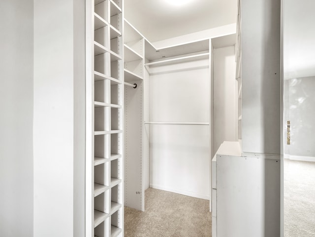 spacious closet featuring light carpet