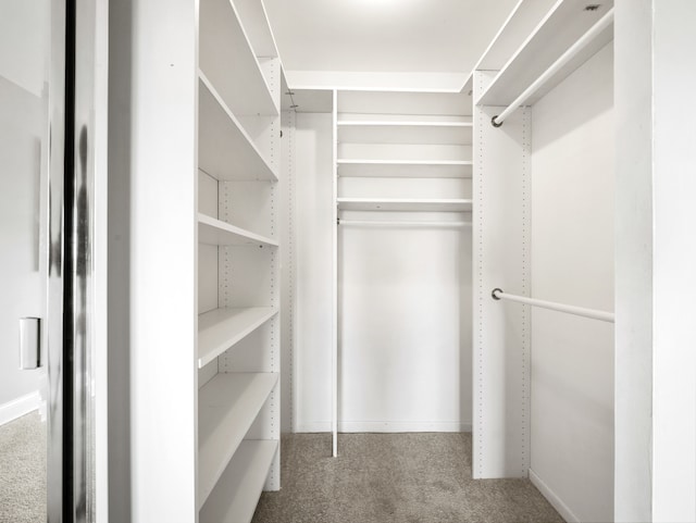 spacious closet with carpet flooring