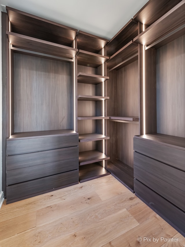 walk in closet with light wood-type flooring