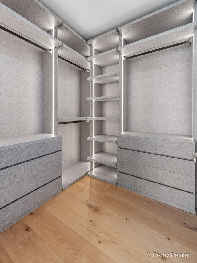 walk in closet with hardwood / wood-style flooring