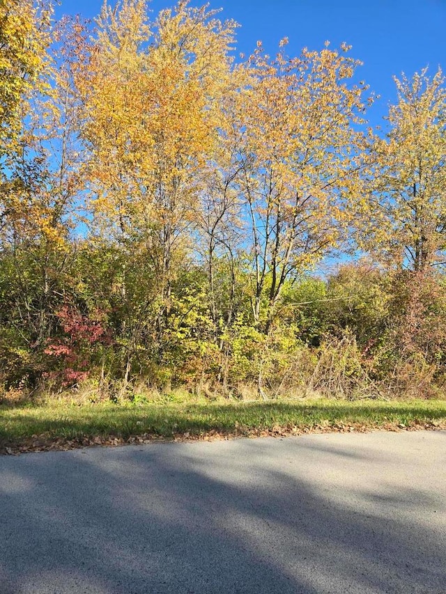 VACANT W Monee-Manhattan Rd, Monee IL, 60449 land for sale