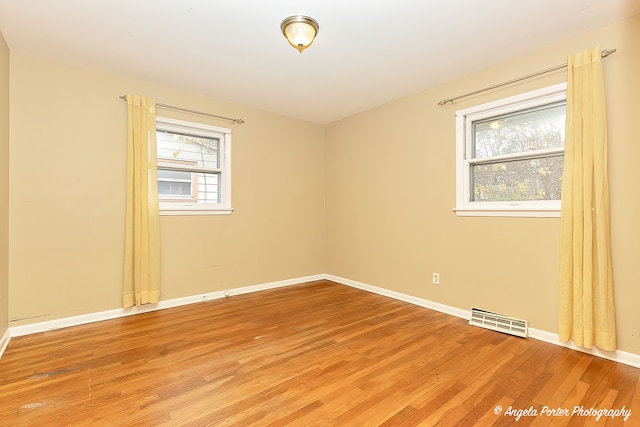 spare room featuring wood-type flooring and a wealth of natural light