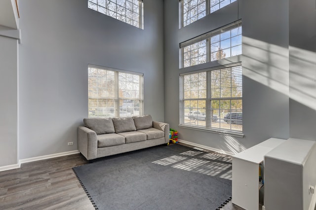 living room with dark hardwood / wood-style floors, a high ceiling, and a wealth of natural light