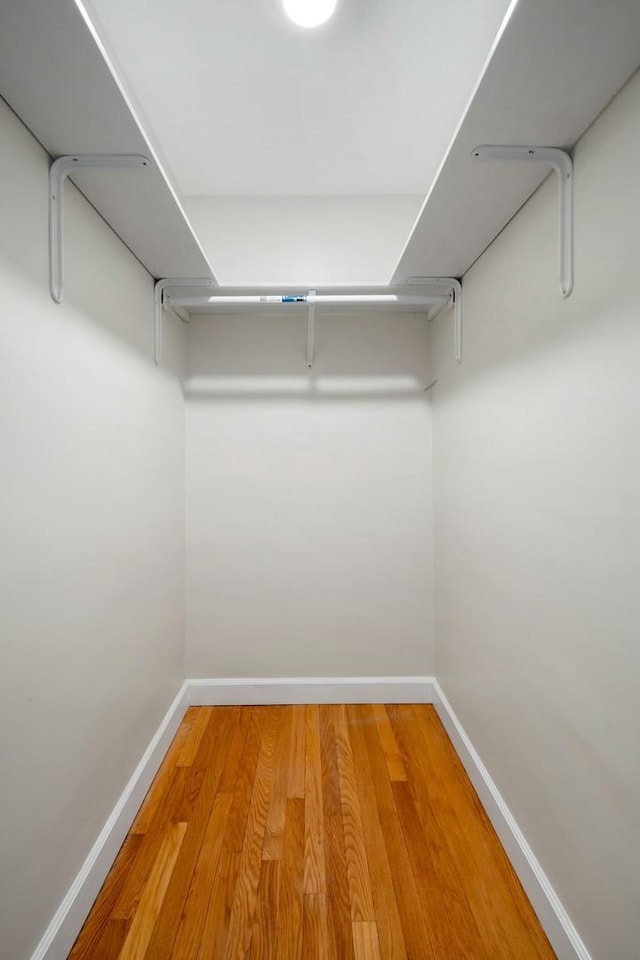 walk in closet with hardwood / wood-style flooring