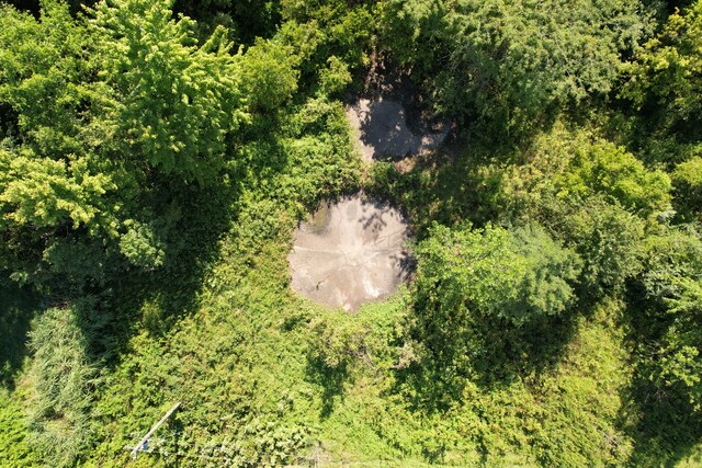 TRACT3 Mayflower Rd, Clay City, IL 62824 - photo 11