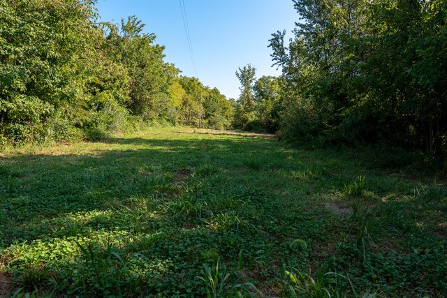 TRACT3 Mayflower Rd, Clay City, IL 62824 - photo 19