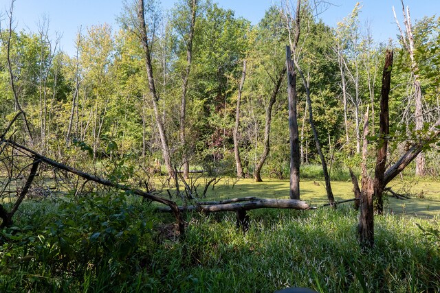 TRACT3 Mayflower Rd, Clay City, IL 62824 - photo 20
