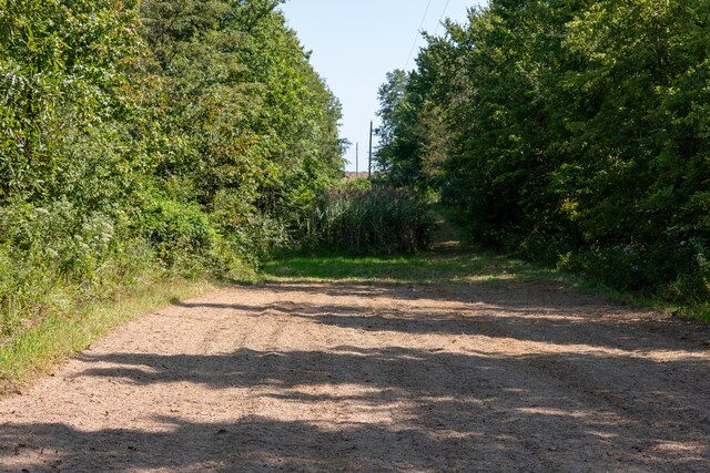 TRACT3 Mayflower Rd, Clay City, IL 62824 - photo 21