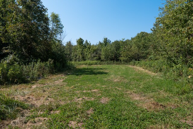 TRACT3 Mayflower Rd, Clay City, IL 62824 - photo 24