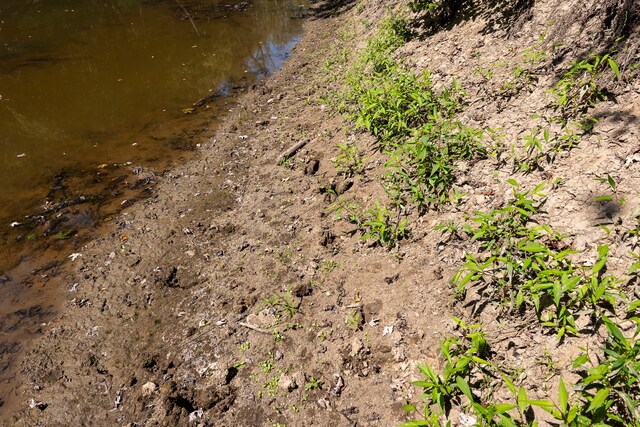 TRACT3 Mayflower Rd, Clay City, IL 62824 - photo 26