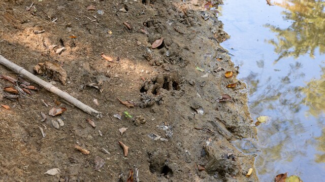 TRACT3 Mayflower Rd, Clay City, IL 62824 - photo 28