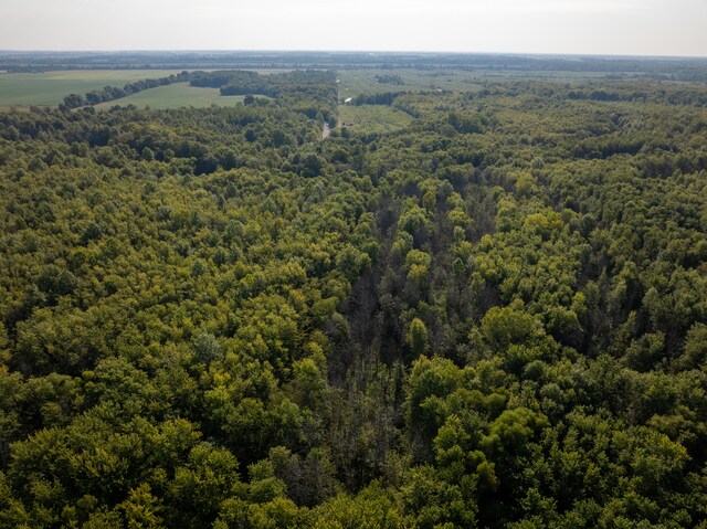 TRACT3 Mayflower Rd, Clay City, IL 62824 - photo 4