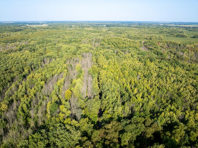 TRACT3 Mayflower Rd, Clay City, IL 62824 - photo 5