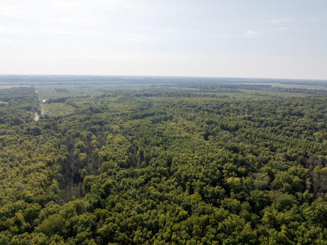 TRACT3 Mayflower Rd, Clay City, IL 62824 - photo 9