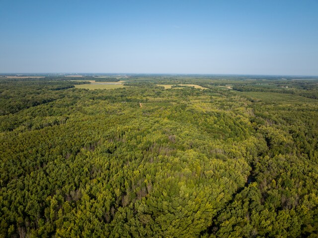 TRACT3 Mayflower Rd, Clay City, IL 62824 - photo 10