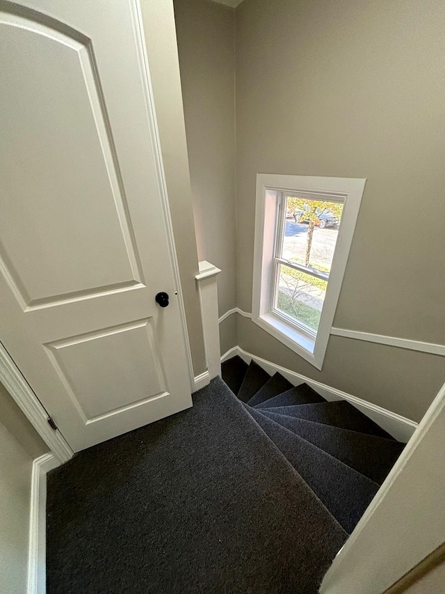 staircase with carpet floors