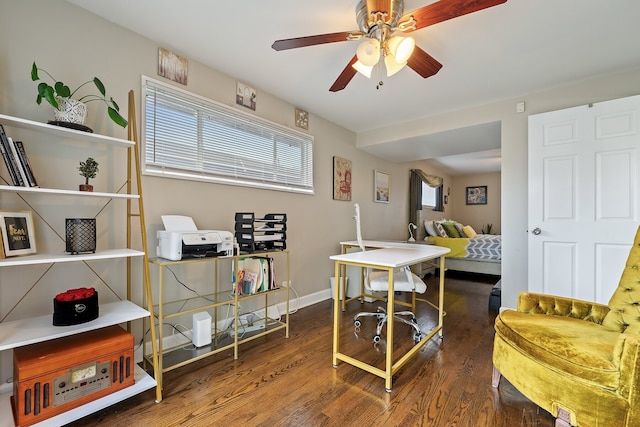 office featuring ceiling fan and dark hardwood / wood-style flooring