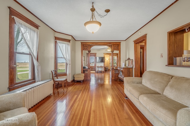 living room with a textured ceiling, radiator heating unit, wood-type flooring, and crown molding