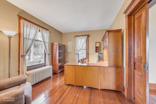 office featuring radiator heating unit and hardwood / wood-style flooring