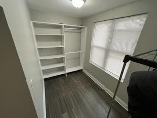 walk in closet with dark wood-type flooring