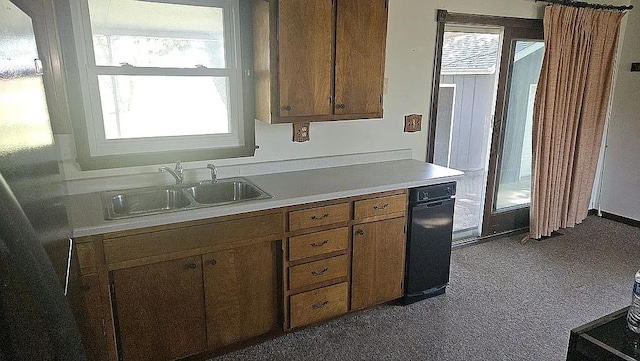 kitchen featuring sink and carpet flooring