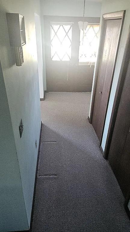 hallway featuring carpet