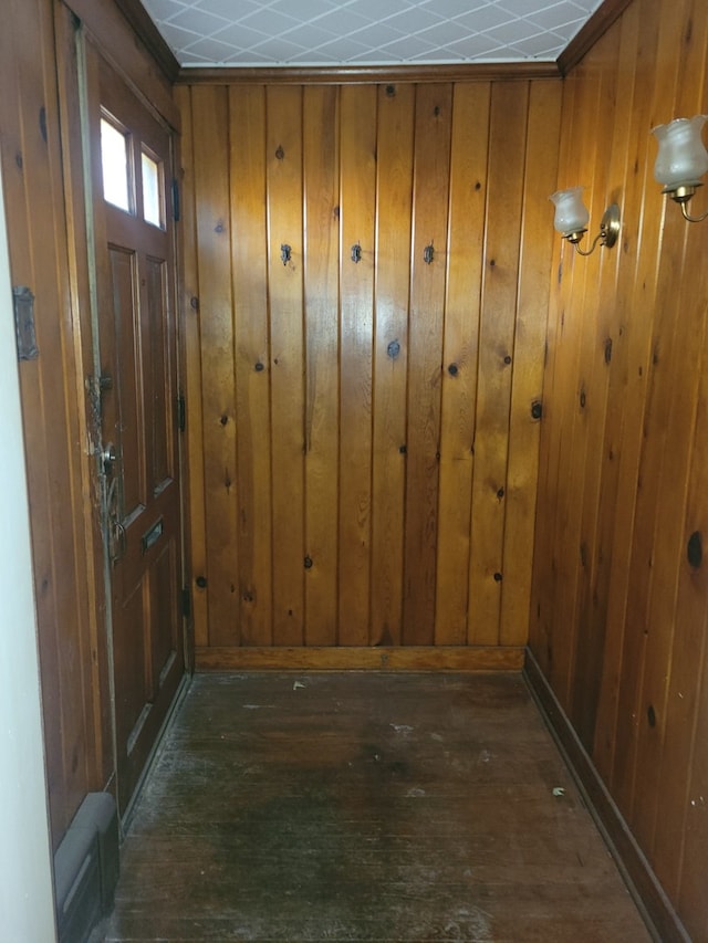 doorway featuring dark wood-type flooring and wood walls