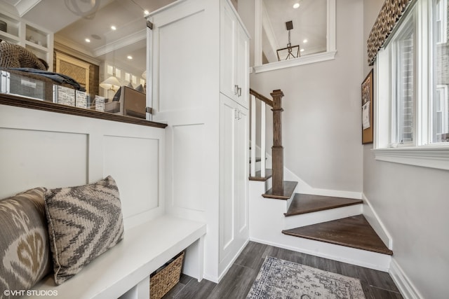 mudroom featuring dark hardwood / wood-style flooring