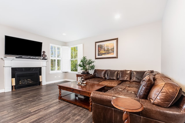 living room with dark hardwood / wood-style floors