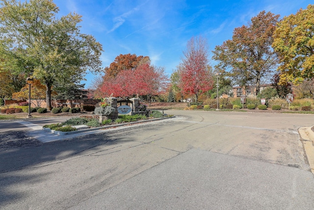 view of road with curbs and street lighting