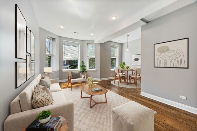 living room with hardwood / wood-style flooring