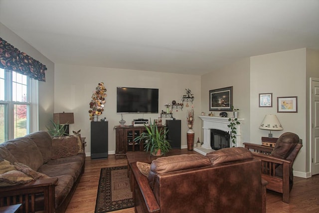 living room with hardwood / wood-style flooring