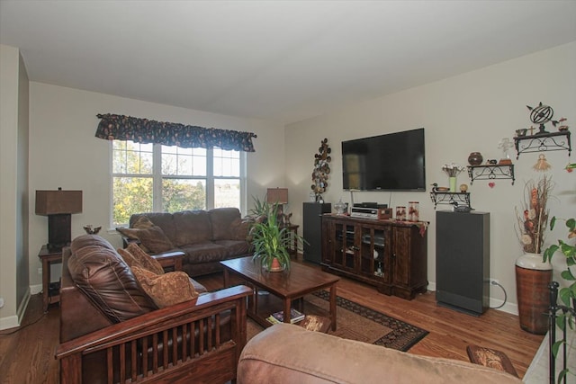 living room with hardwood / wood-style floors