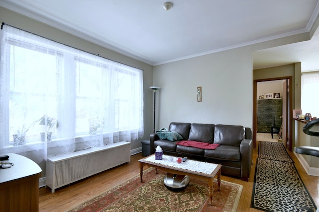 living room with crown molding, light hardwood / wood-style flooring, and radiator