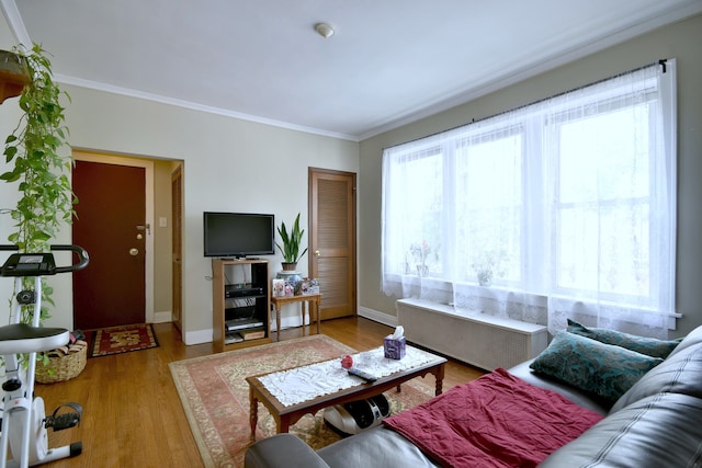 living room featuring ornamental molding, light hardwood / wood-style flooring, and radiator heating unit