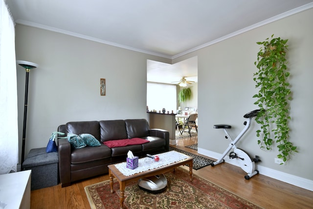 living room featuring crown molding, hardwood / wood-style flooring, and ceiling fan