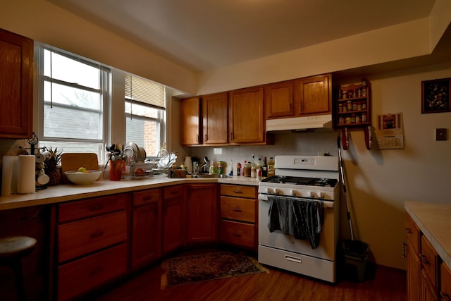 kitchen with backsplash, sink, gas stove, and dark hardwood / wood-style floors