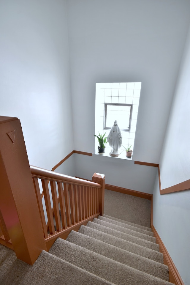 stairway with carpet flooring