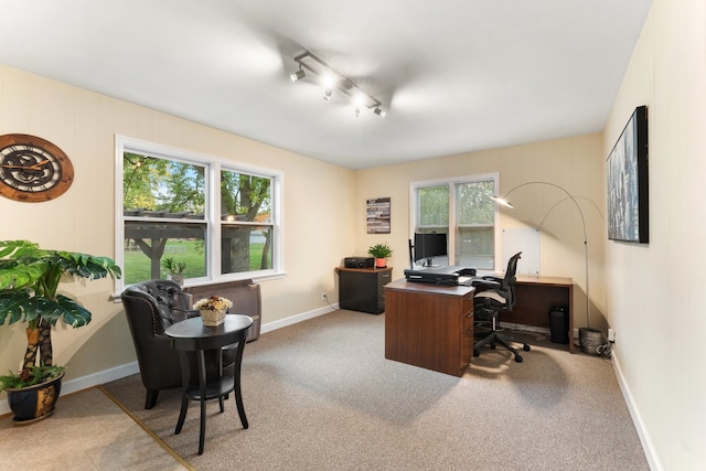 carpeted office space featuring rail lighting and a healthy amount of sunlight