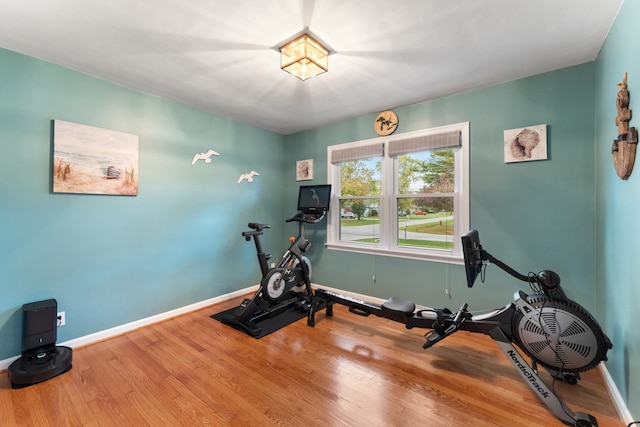 workout room featuring wood-type flooring