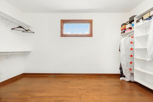 walk in closet featuring wood-type flooring