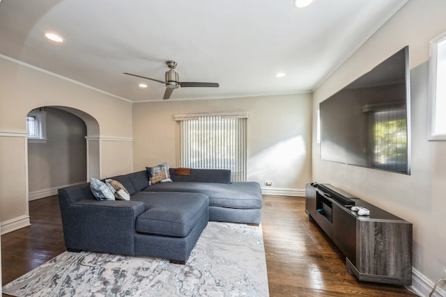 living room featuring dark wood-type flooring, ceiling fan, and crown molding