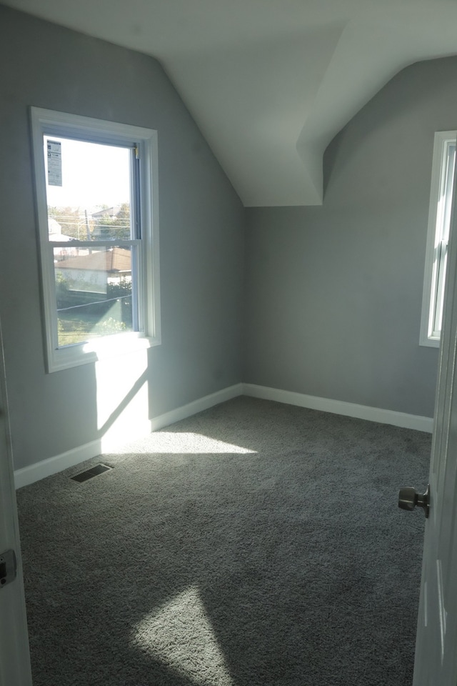 additional living space featuring carpet flooring and vaulted ceiling