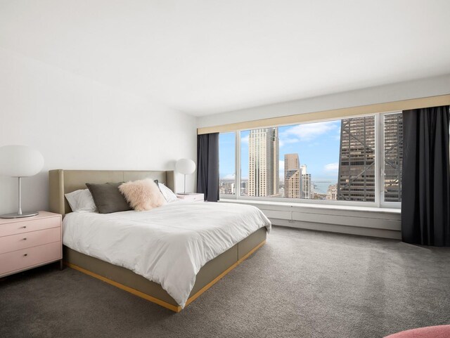 161 E Chicago Ave Unit 42H, Chicago, IL 60611 - bedroom featuring carpet and a view of city