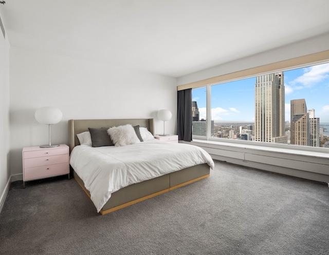 carpeted bedroom with multiple windows