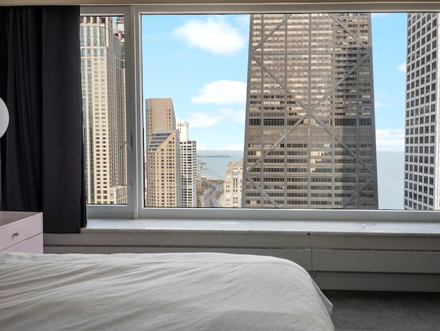 bedroom featuring a water view