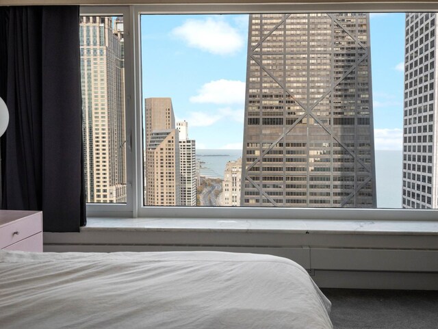 161 E Chicago Ave Unit 42H, Chicago, IL 60611 - bedroom with a water view and a city view