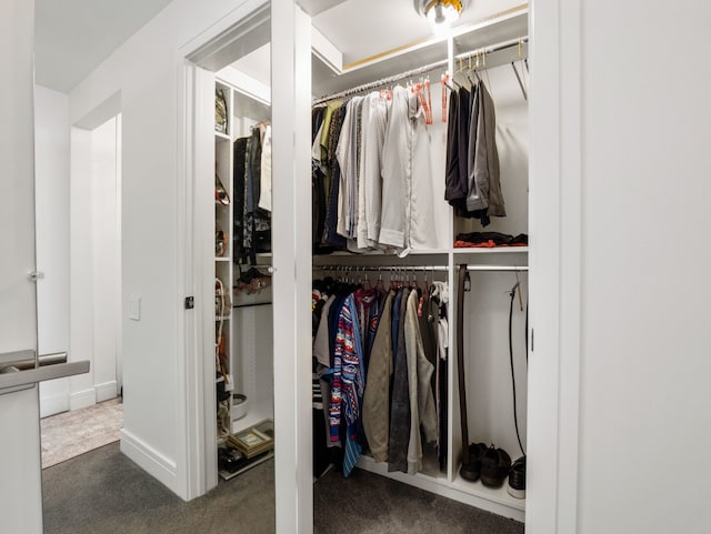 view of closet