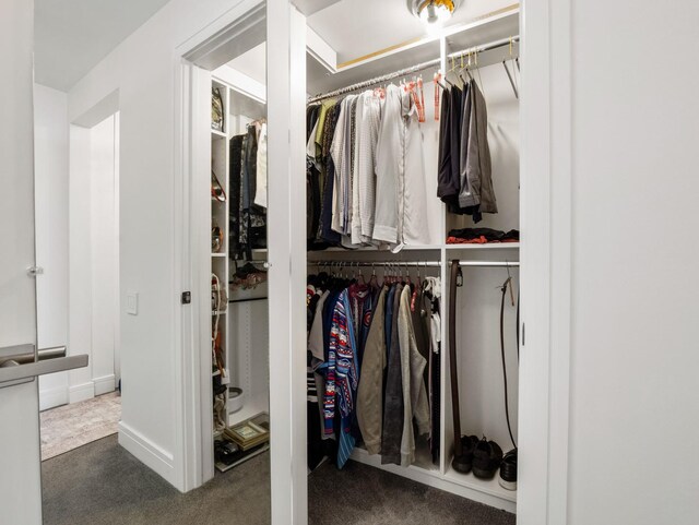 161 E Chicago Ave Unit 42H, Chicago, IL 60611 - view of closet